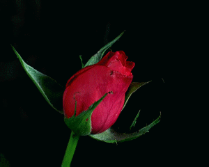 //photo.modepueppchen.com/de/1/19/moy/14435.jpg