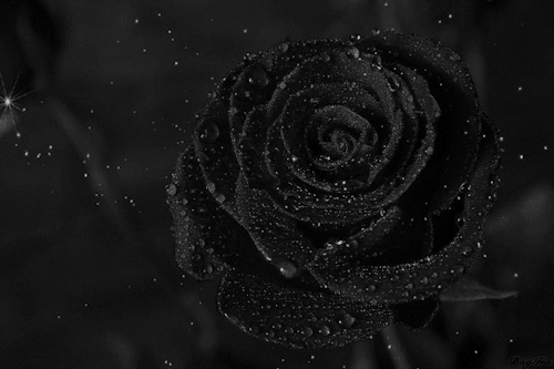 //photo.modepueppchen.com/de/1/20/moy/15272.jpg